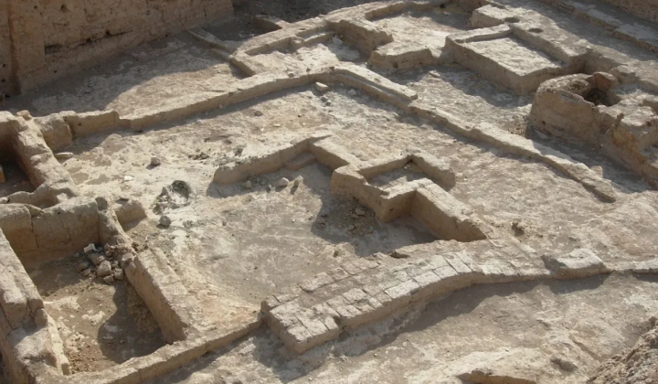 Image of 6000-year-old infant skeleton with signs of violence