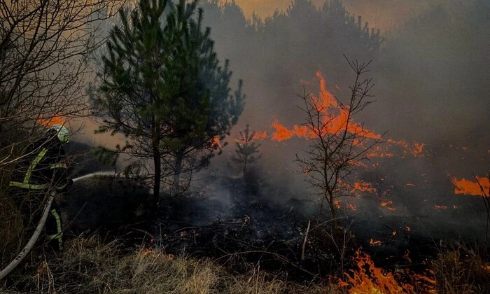Пожари в екосистемах України: тривожна статистика