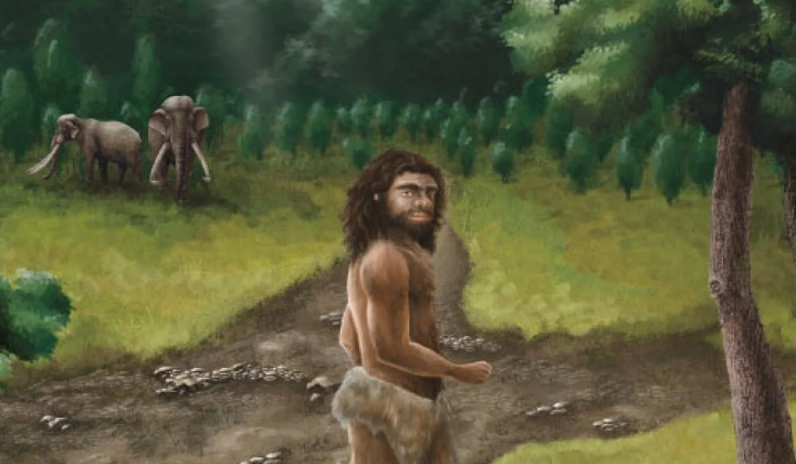 Denisovan bone reveals structure of limbs