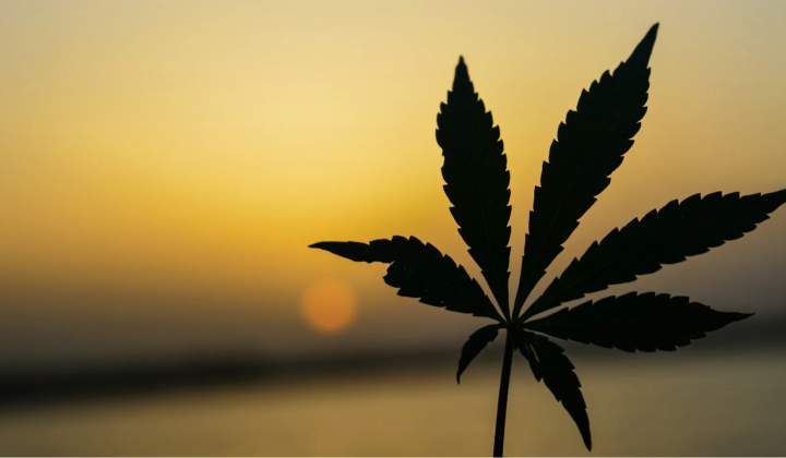 Increase in Cardiovascular Hospitalizations in Western US Linked to Recreational Cannabis Legalization: 2012-2018 Data Analysis