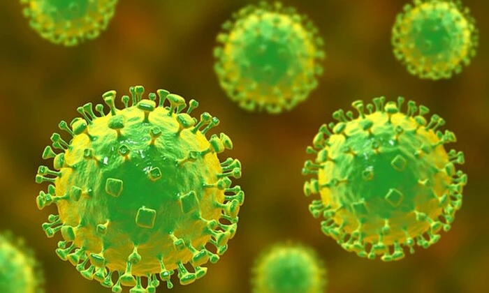 Зображення мозку з планом вірусів