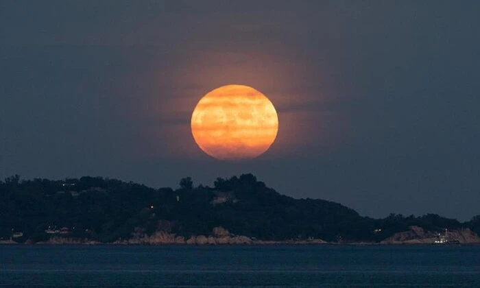 Sturgeon moon in the image