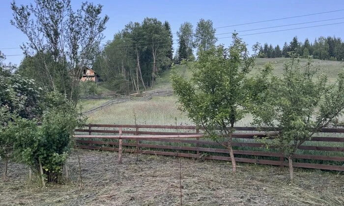 Температура в горах Буковини опустилася до нуля