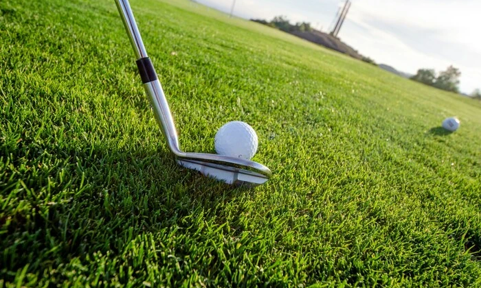 bear on a golf course in Japan
