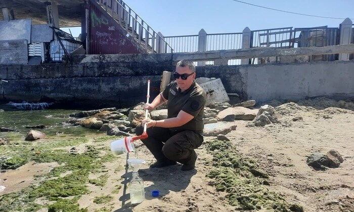 Екологи досліджують 'цвітіння' Чорного моря