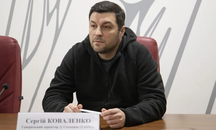 Шафрановое поле на закате