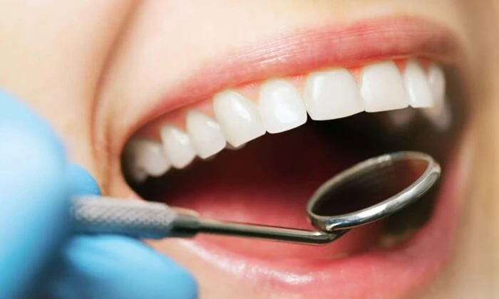 Вирощені зуби людини у лабораторії