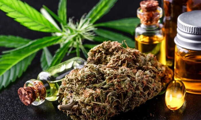 Вирощування та зберігання канабісу в Чехії