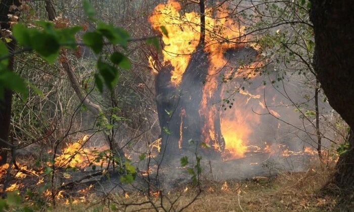 Диверсія у Запоріжжі: ліквідація російських офіцерів