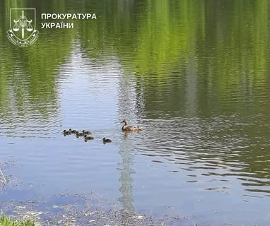 ‘Sovska Balka’ forest with protection