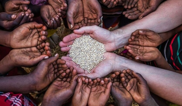 Україна долучилася до Групи друзів з продовольчої безпеки