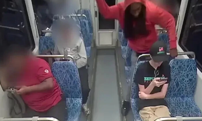 Підозрюваний у вбивстві українки в США