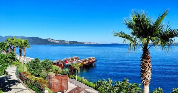 Beaches of Turkey and Egypt - popular choice