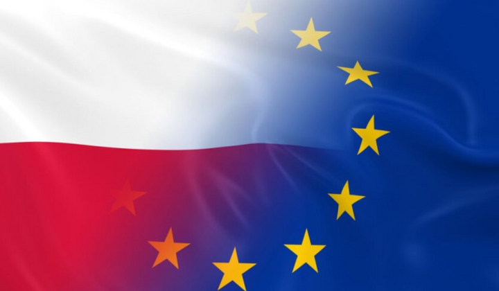 Фото Кошта і Туск в ЄС