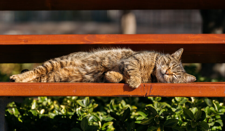 Похолодание на зоне страны