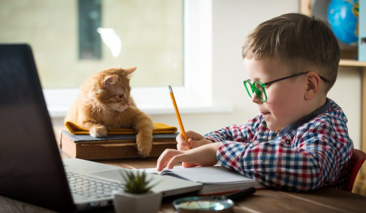 Інструкції для учнів та батьків