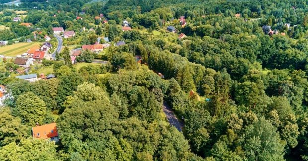 Громадський ліс у Польщі біля міста