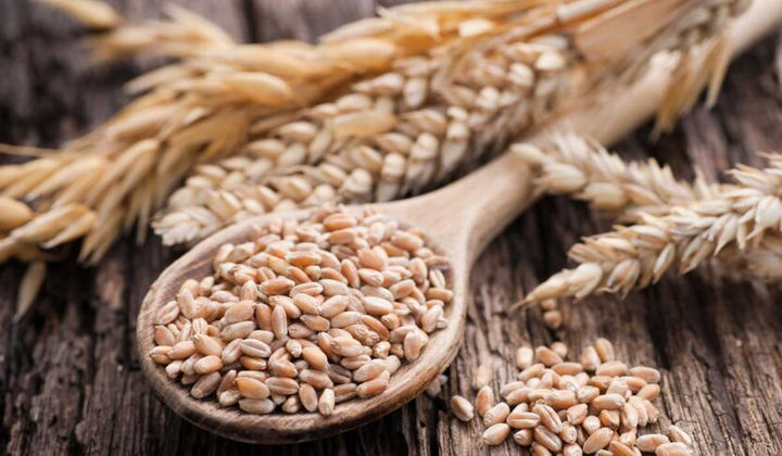 Відслідковування краденого зерна у Клайпеді