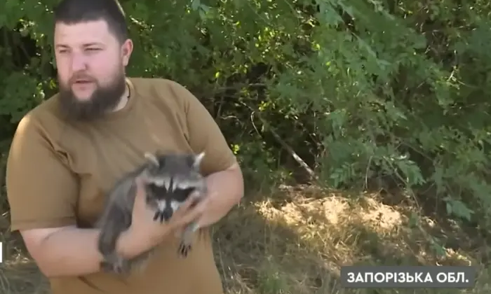 Милая зверушка помогает дронарям воевать