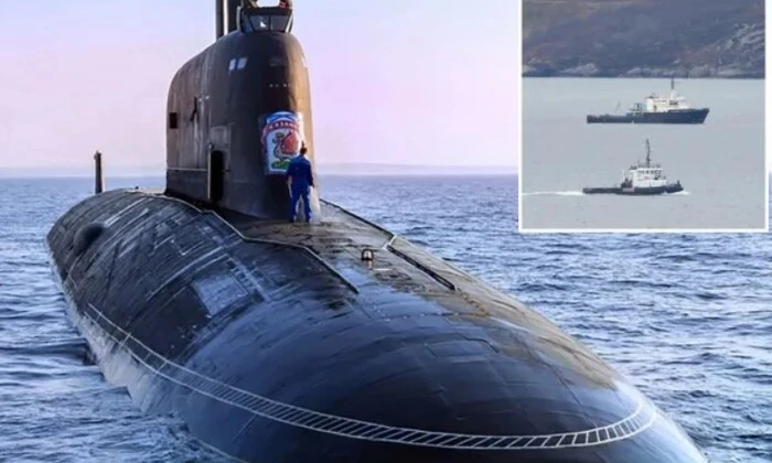 Кити були помилково сприйняті як російські шпигунські пристрої