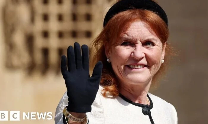 Support of the Duchess of York from the Lyss funds before Epstein