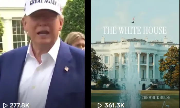 Белый дом в TikTok: критика первых видео