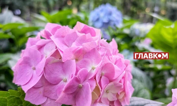 Синоптичка рассказывает когда вернется тепло