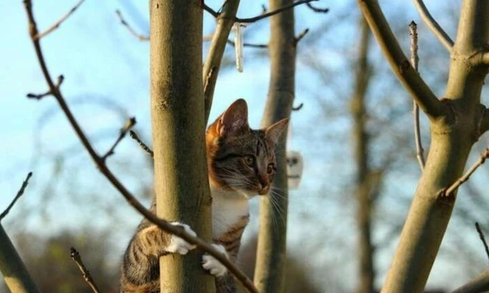 Синоптический прогноз на Водохрещу