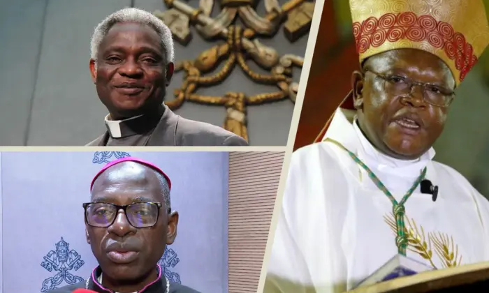 Негритос Болонським Папою: оцінки ватиканських кардиналів