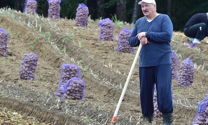 Лукашенко рекомендует меньше картошки