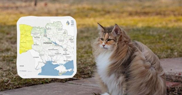 Желтый уровень опасности на западе Украины