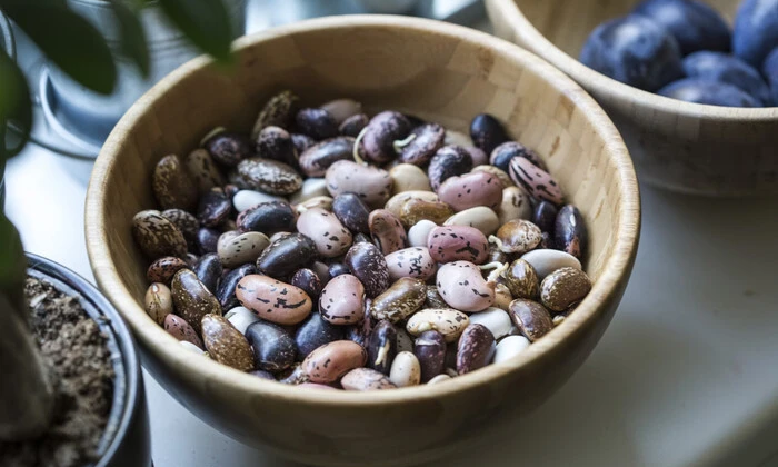 Весняні заморозки. Агрометеоролог назвала вразливі культури