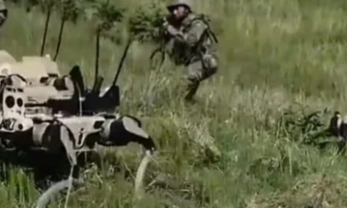 Роботи на військових навчаннях у Китаї