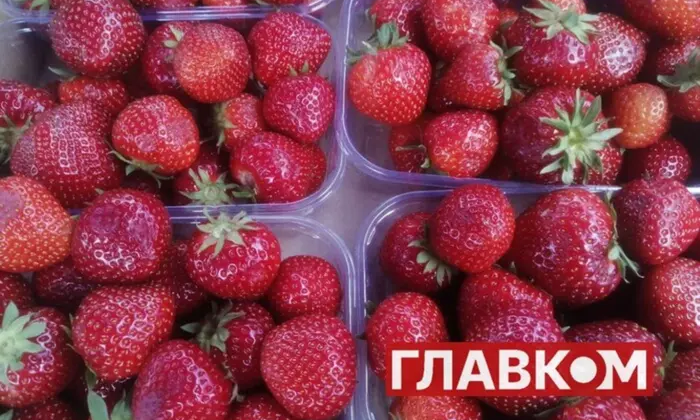 Заморожена поля з полуницею на Волині