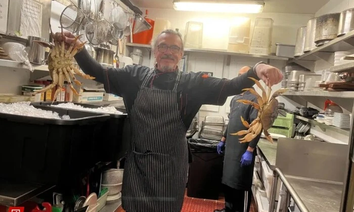 Гангстер-шеф-кухар в кулінарії та грабежах