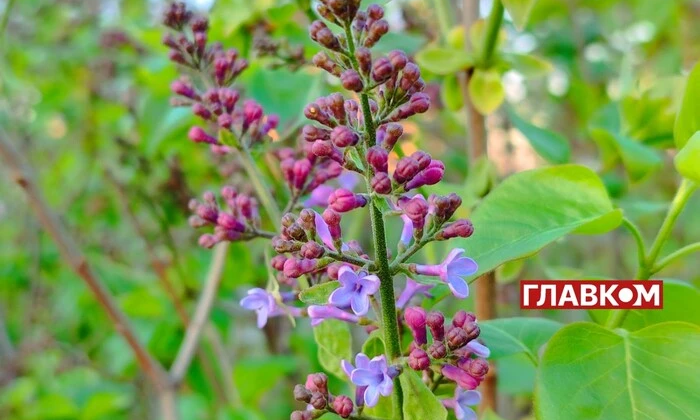 Прогноз погоди на 1 травня