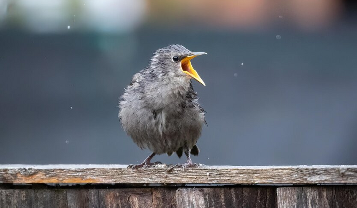 Резкие колебания погоды на выходных
