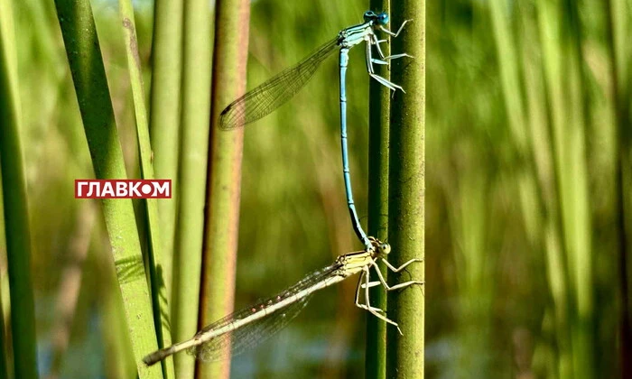 Погода на 21 серпня в Україні