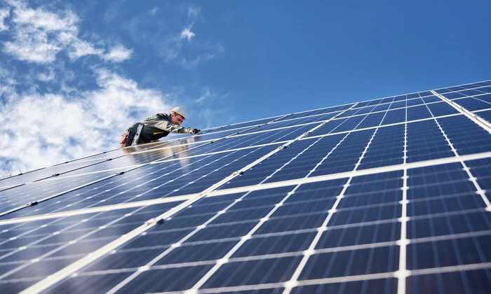 Данія показала неймовірні сонячні поля