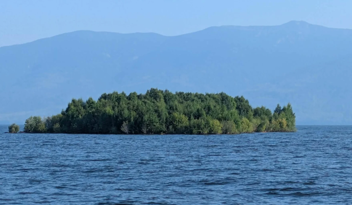 Плавучий острів у водосховищі