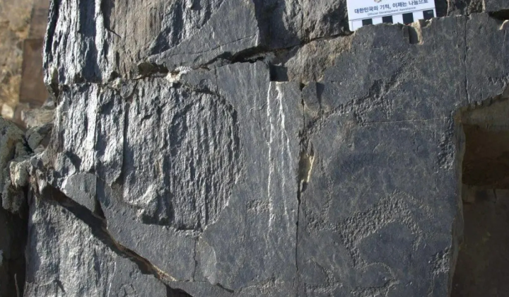 Bronze age petroglyphs in Uzbekistan
