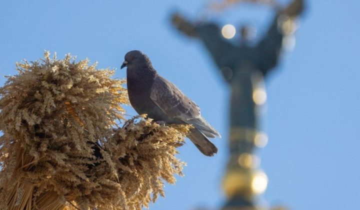 Температура в Україні підніметься до +28°