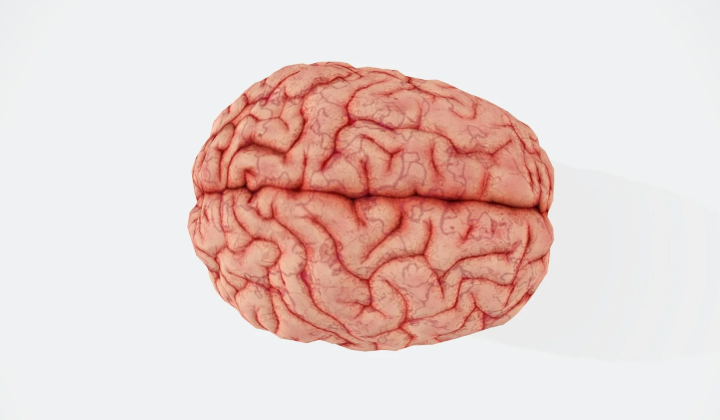 Scientists researching Alzheimer’s