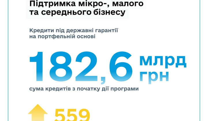 Guarantees for SMEs: banks issued loans for UAH 79 billion