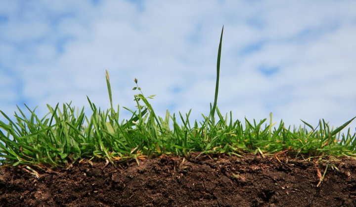 Земельний пай: середні показники Україна