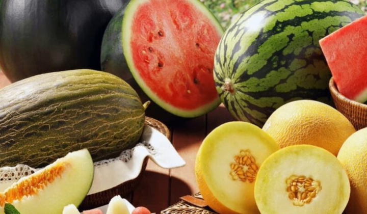 Кавуни, дині та помідори на ринку