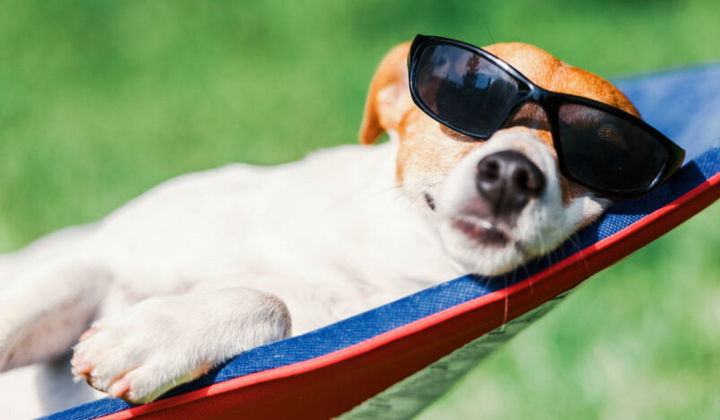 Правила предоставления отпусков в 40 дней