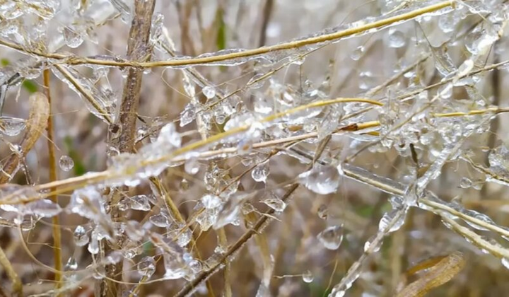 Потепління з снігом та дощем