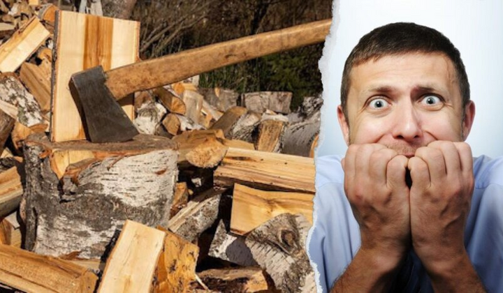 Ціна дров у опалювальний сезон