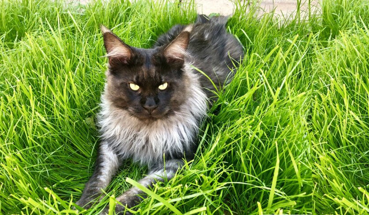 Прогноз погоди в Україні